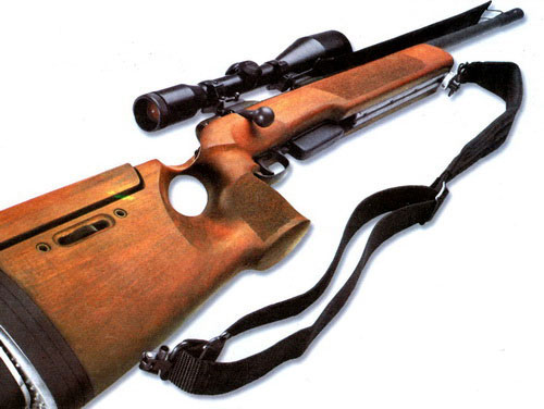 SSG 2000 — снайперская винтовка